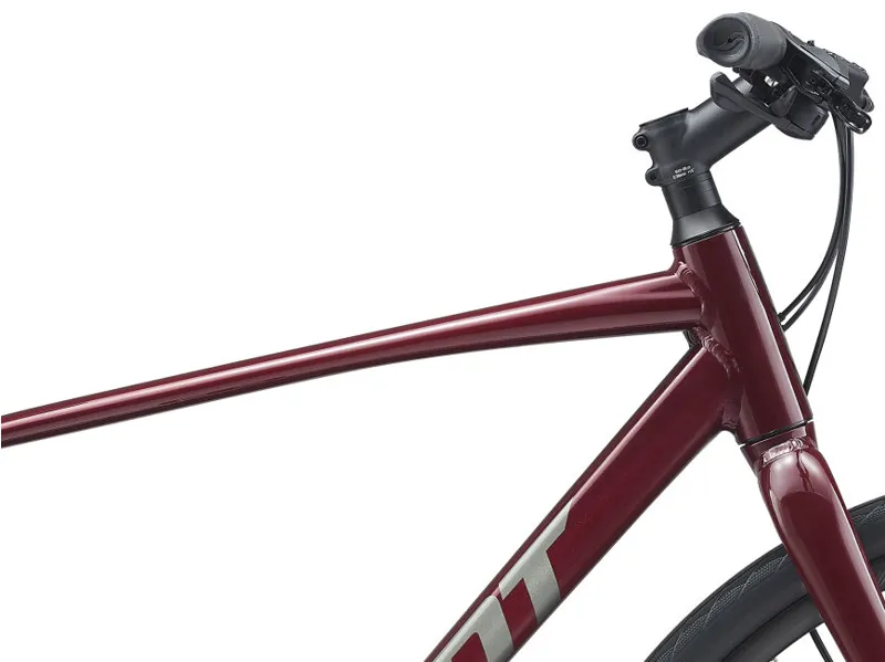 2021 Giant Escape 2 Disc Hybrid Bike in Red-5
