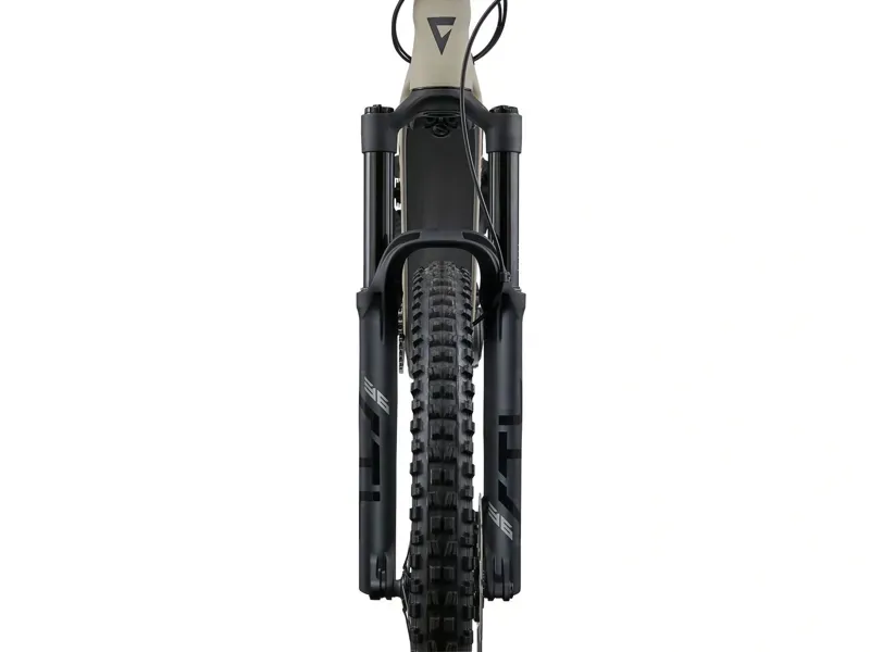 Giant Stance E+ 1 eMountain Bike in Almond/Black-2