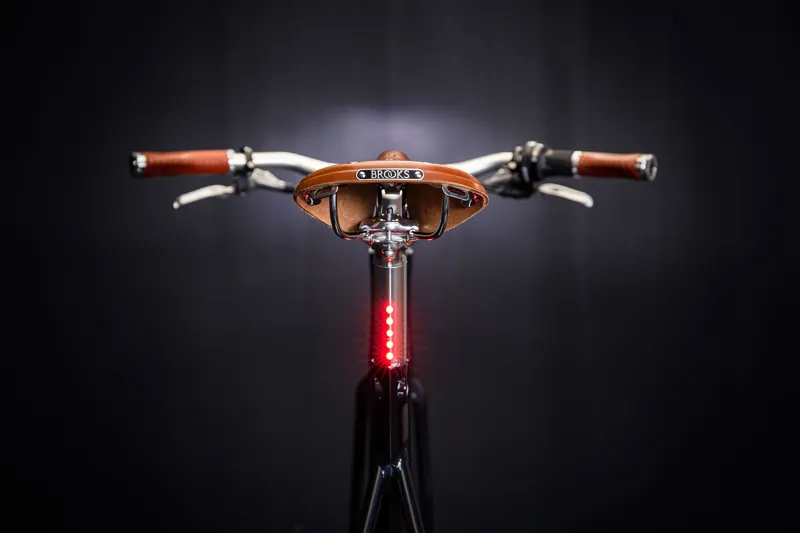 Arthur Pinion 9-Speed-4