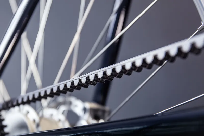 Arthur Pinion 9-Speed-5