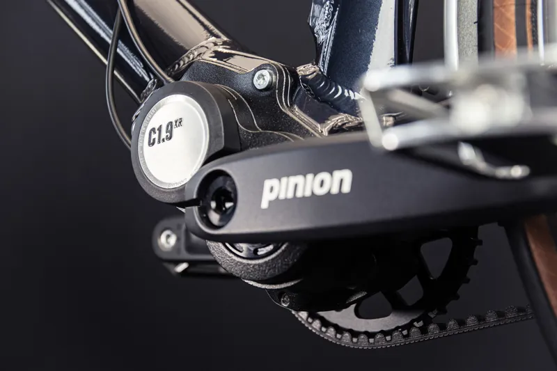 Arthur Pinion 9-Speed-3