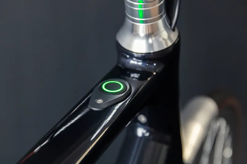 Arthur Pinion 9-Speed-8