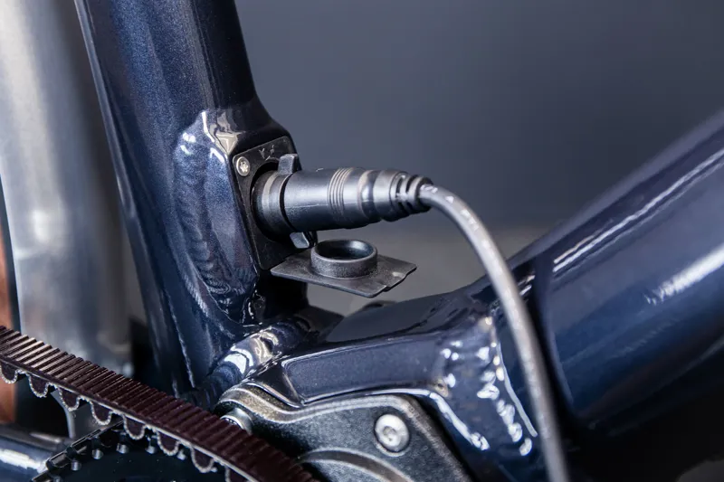 Arthur Pinion 9-Speed-6